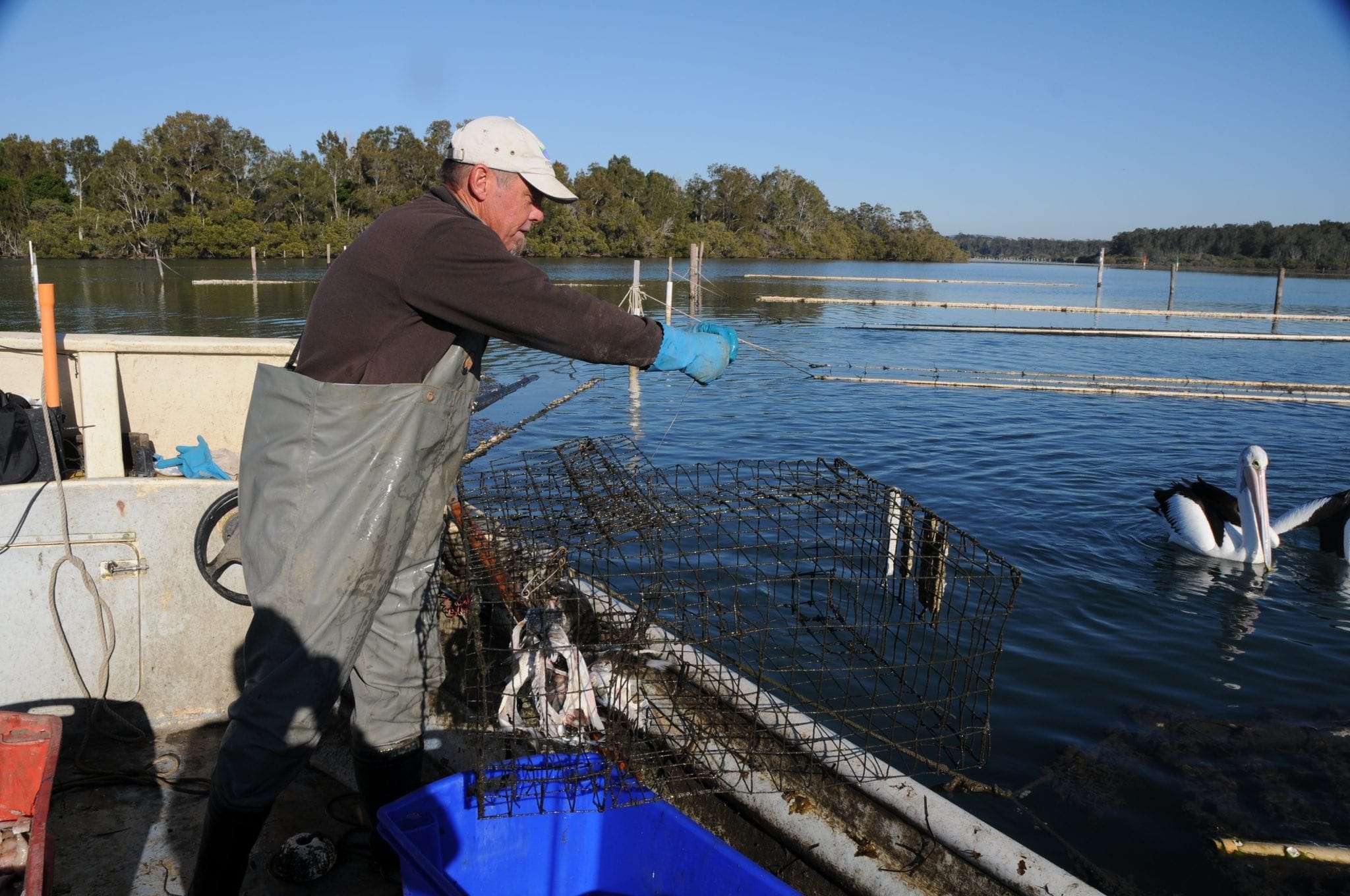 FISHING – Oceanwatch Australia