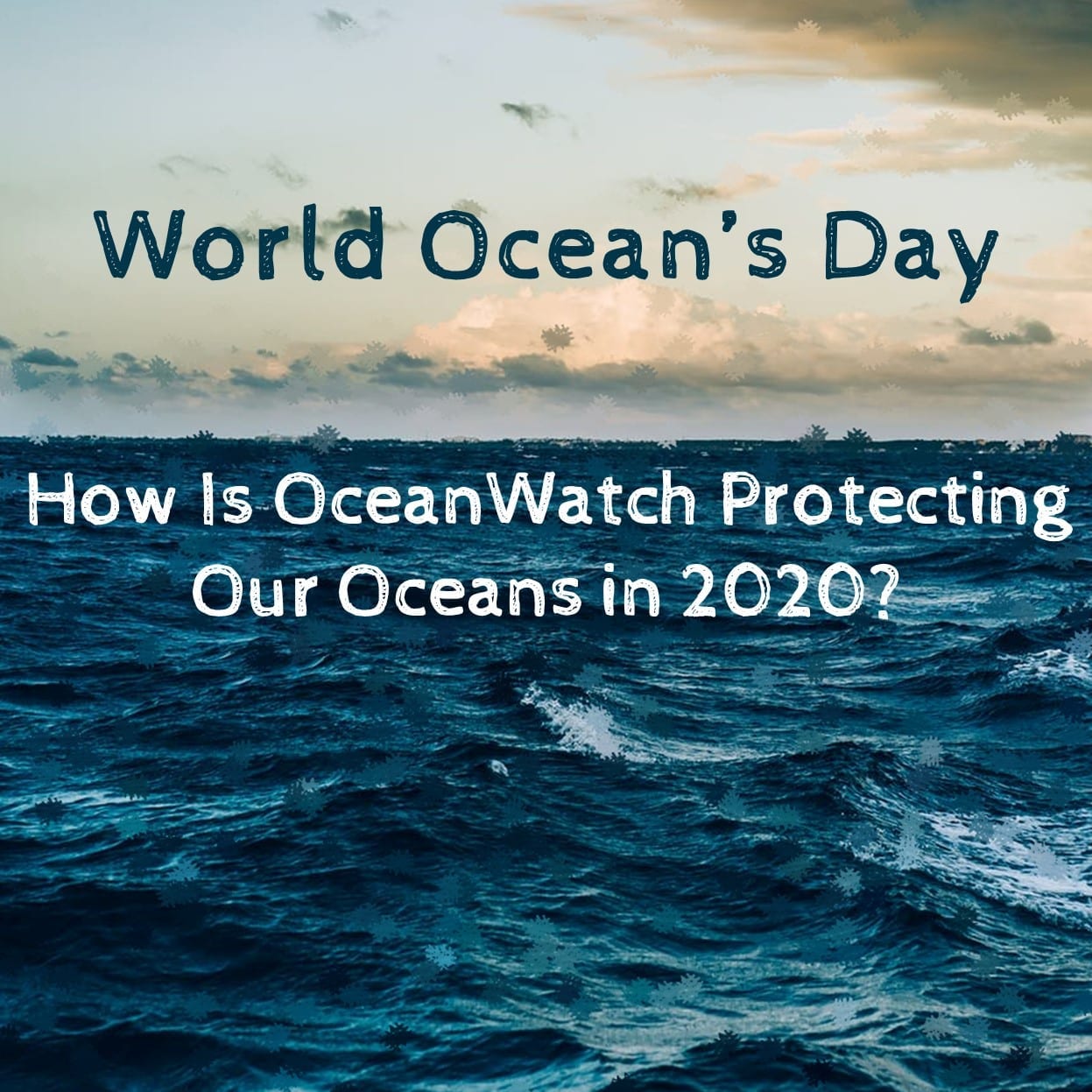 World Ocean S Day Oceanwatch Australia