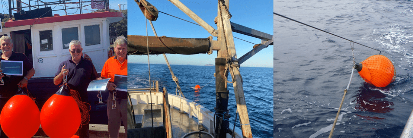 NSW Trawl Fishers endorse seabird friendly fishing practices ...